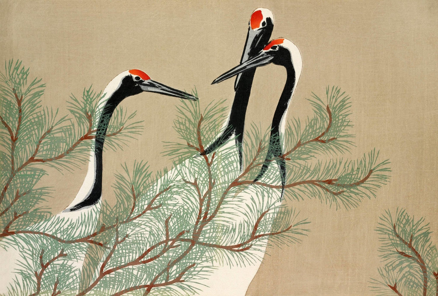 KAMISAKA SEKKA - Cranes from Momoyogusa