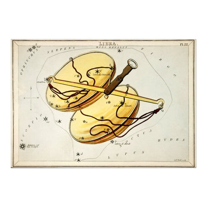 BALANCE - Constellation d'écailles