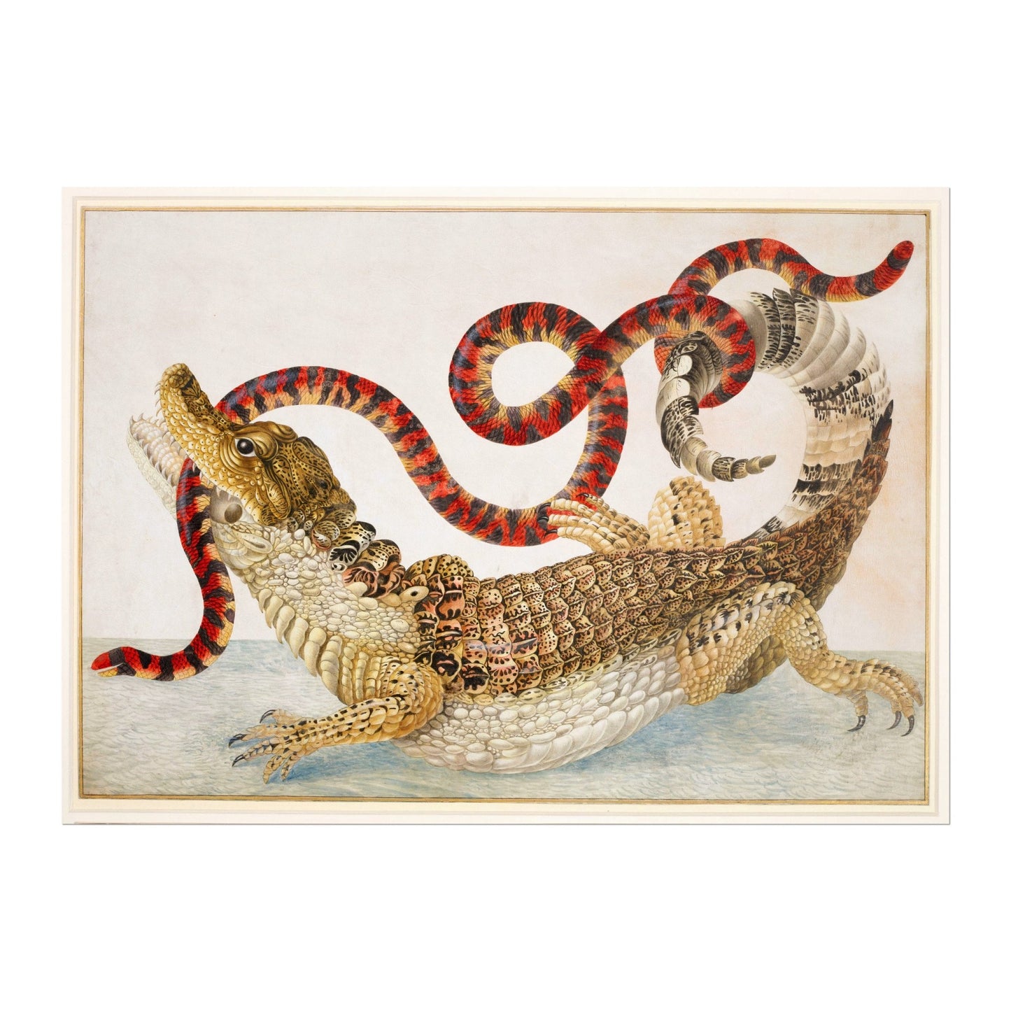 MARIA SIBYLLA MERIAN - Crocodile of Surinam with Snake - Pathos Studio - Posters, Prints, & Visual Artwork