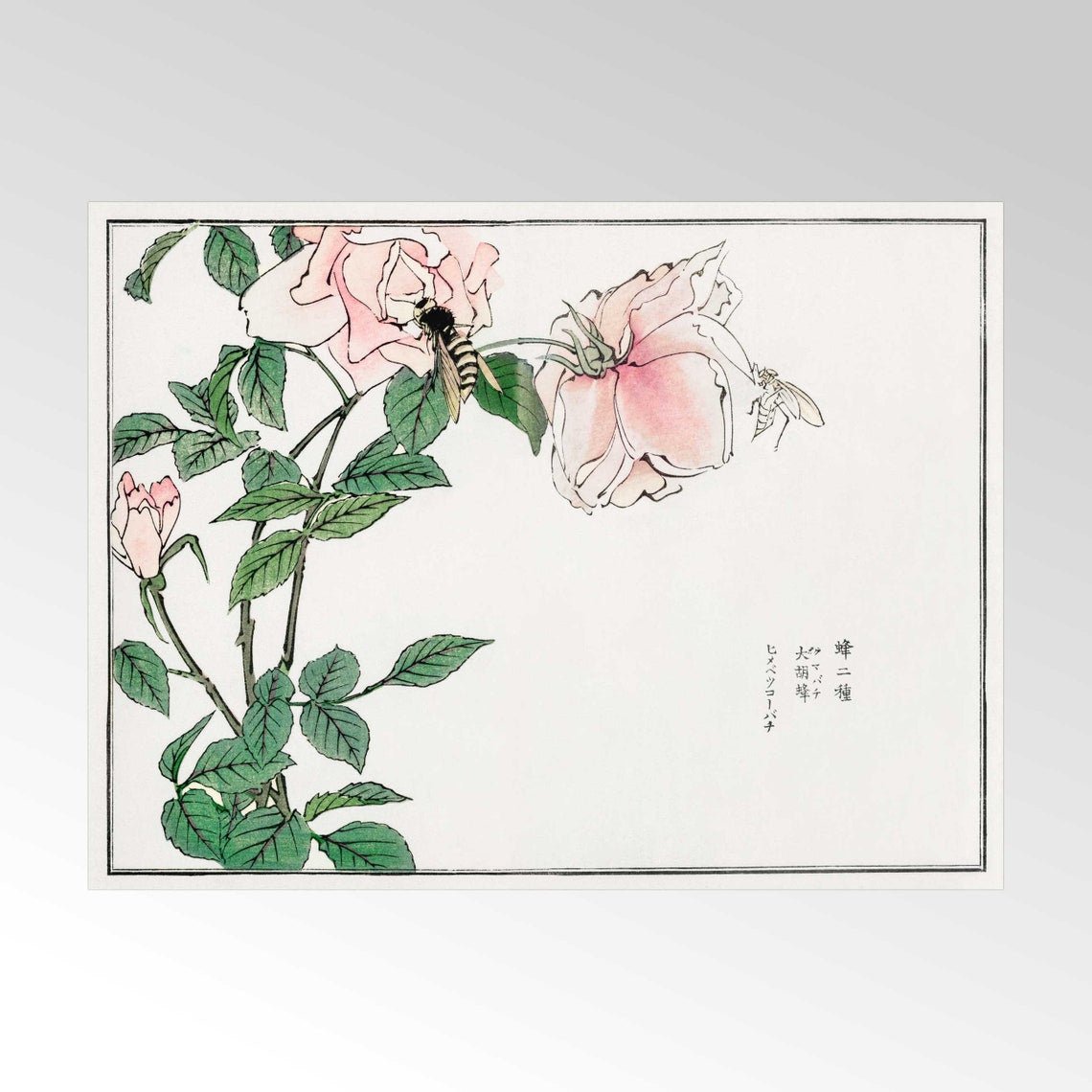 MORIMOTO TOKO - Bee and Flower Illustration