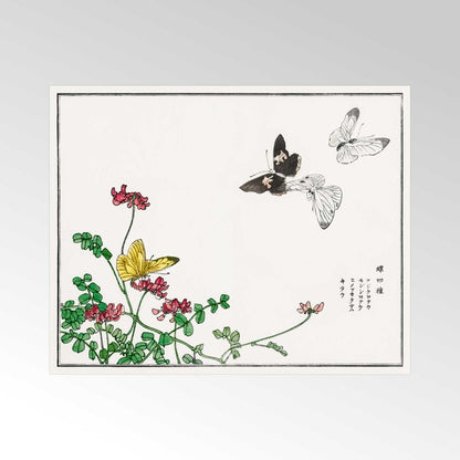 MORIMOTO TOKO - Butterflies and Flower Illustration