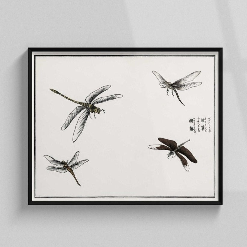 MORIMOTO TOKO - Illustration de libellules