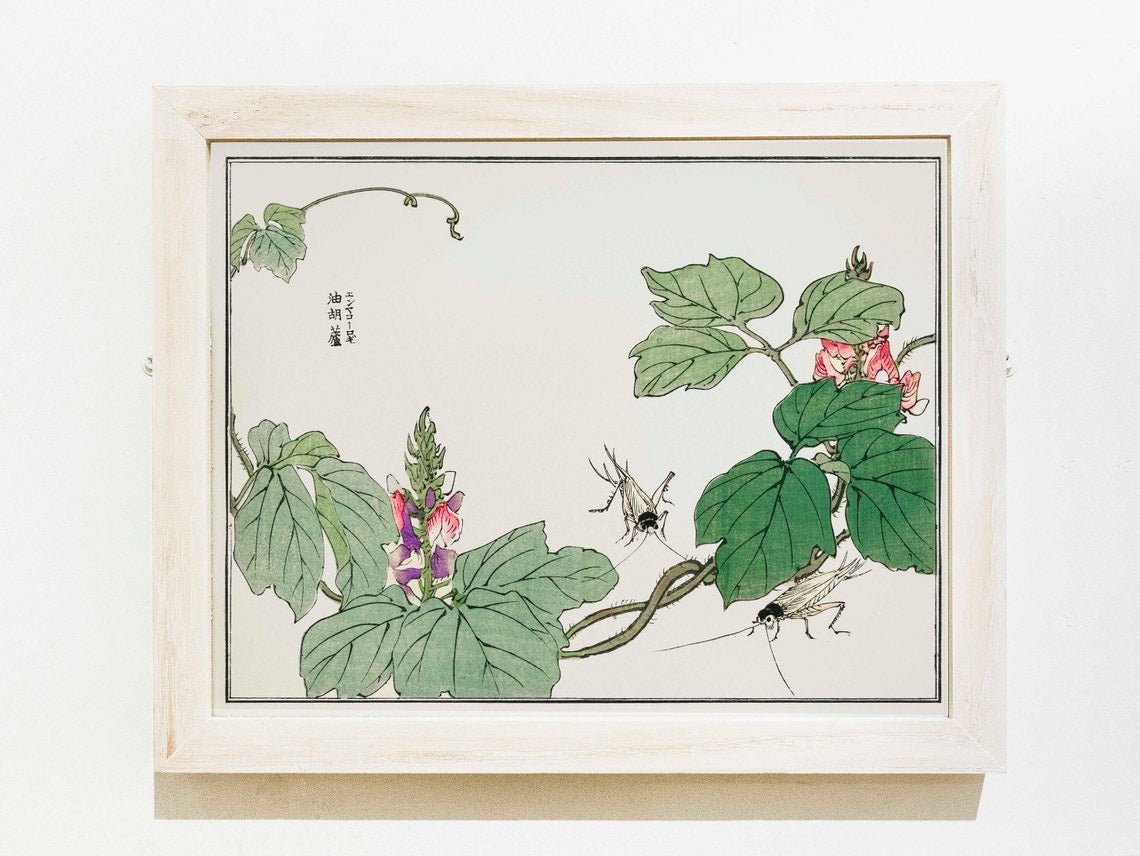 MORIMOTO TOKO - Leaf And Flower Illustration