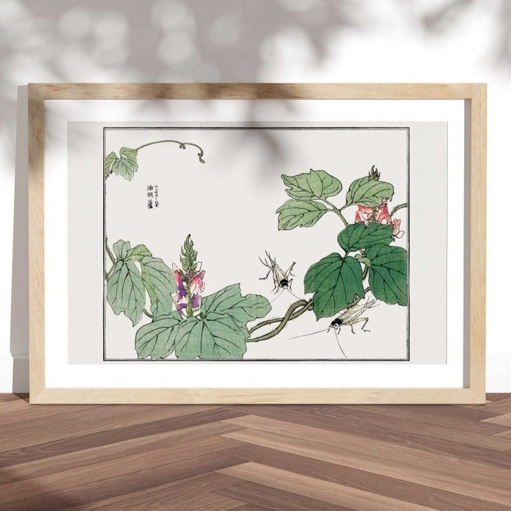 MORIMOTO TOKO - Leaf And Flower Illustration