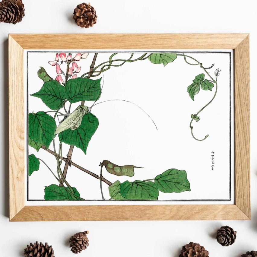MORIMOTO TOKO - Locust On A Leaf Illustration