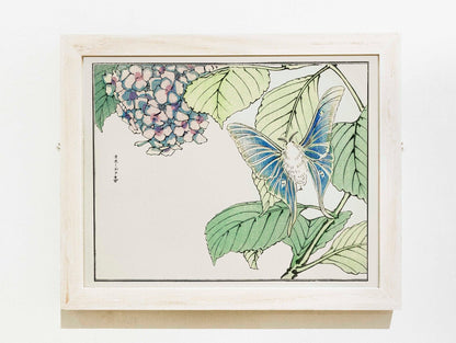 MORIMOTO TOKO - Moth And Plant Illustration