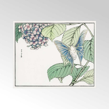 MORIMOTO TOKO - Moth And Plant Illustration