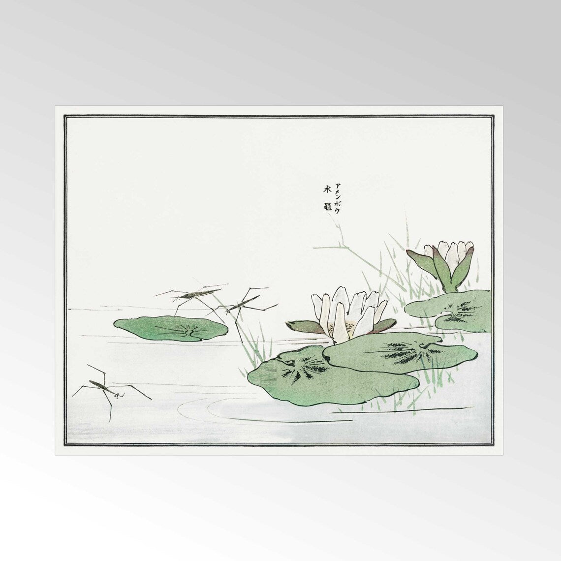 MORIMOTO TOKO - Water Striders On a Pond