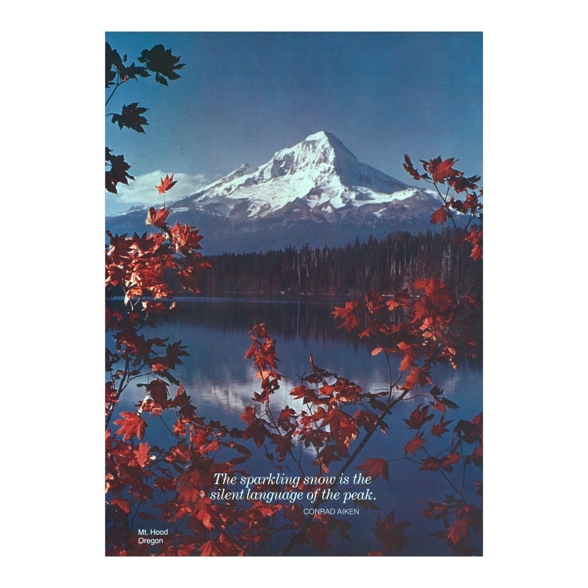 Mt. Hood, Oregon - Scenically Yours (Vintage Travel Poster) - Pathos Studio - Posters, Prints, & Visual Artwork