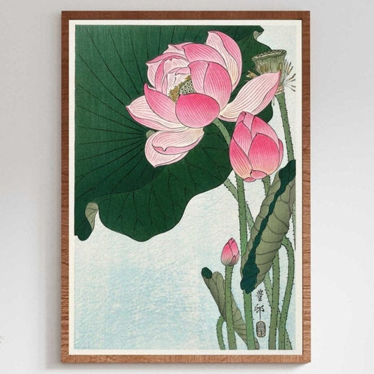 OHARA KOSON - Fleurs de lotus en fleurs