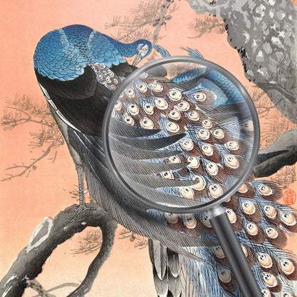 OHARA KOSON - Deux paons sur une branche d'arbre