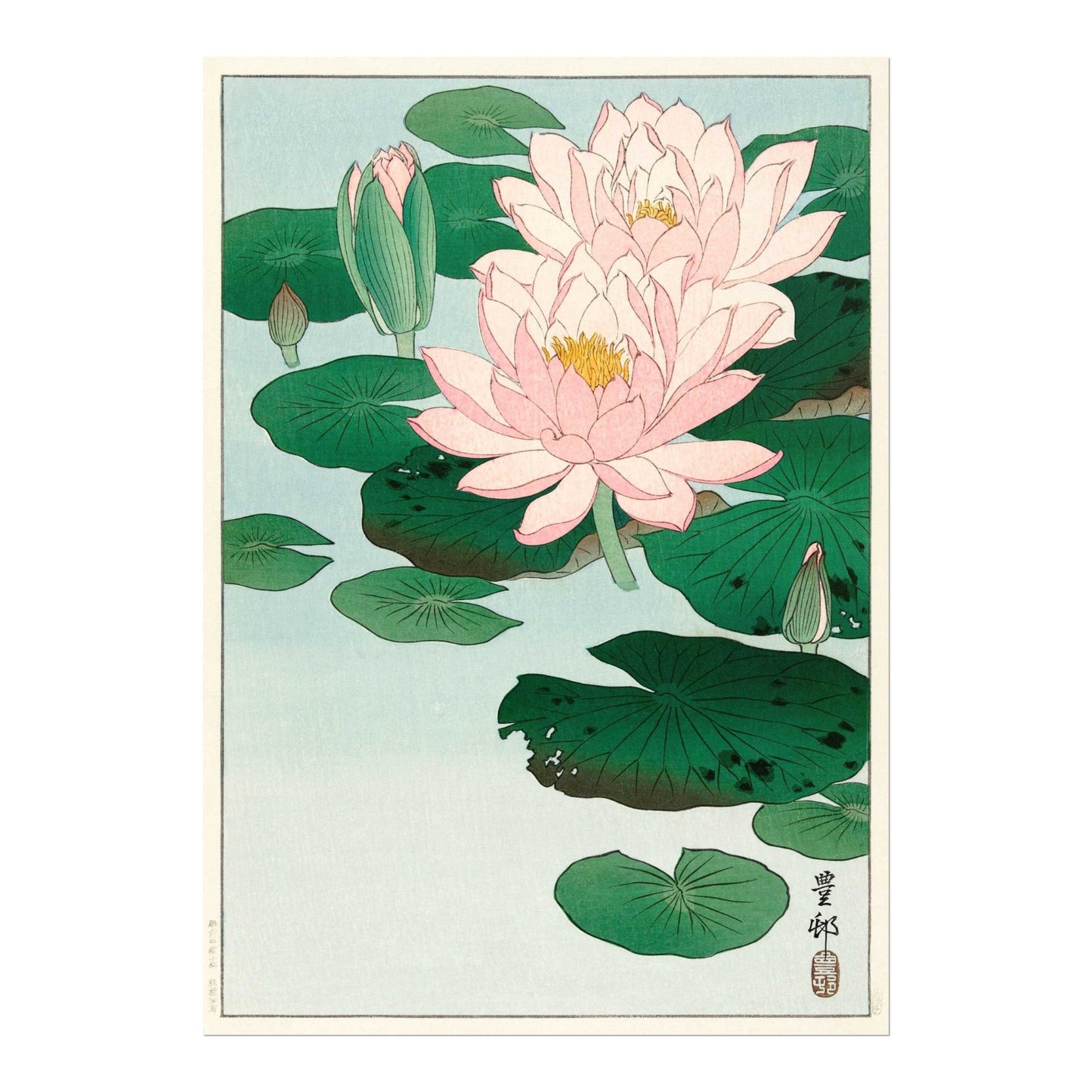 OHARA KOSON -  Water Lily