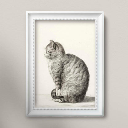 Sitzende Katze (Vintage Tierzeichnung)