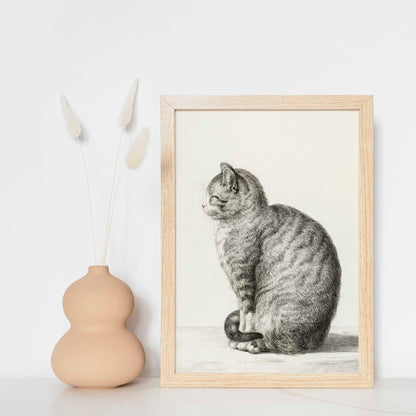 Sitzende Katze (Vintage Tierzeichnung)