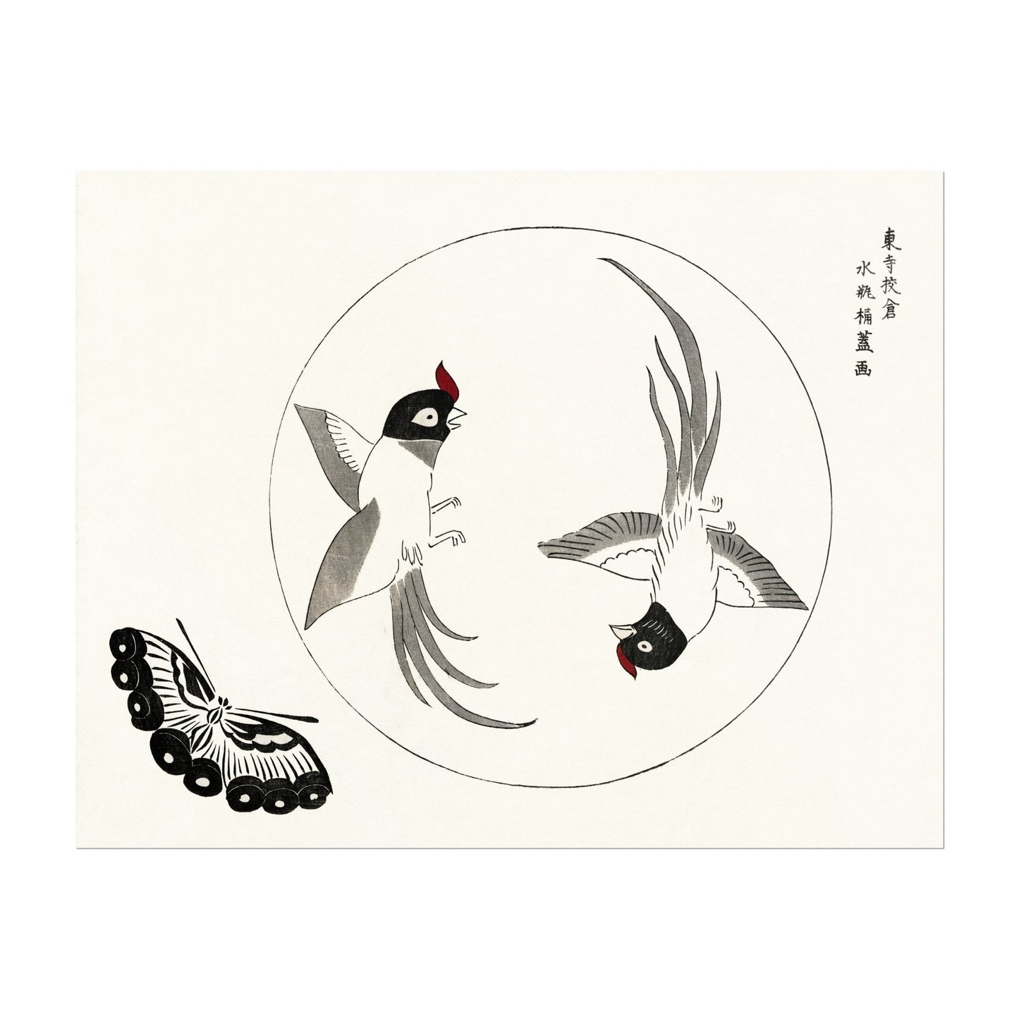 TAGUCHI TAMOKI - Birds & Butterfly