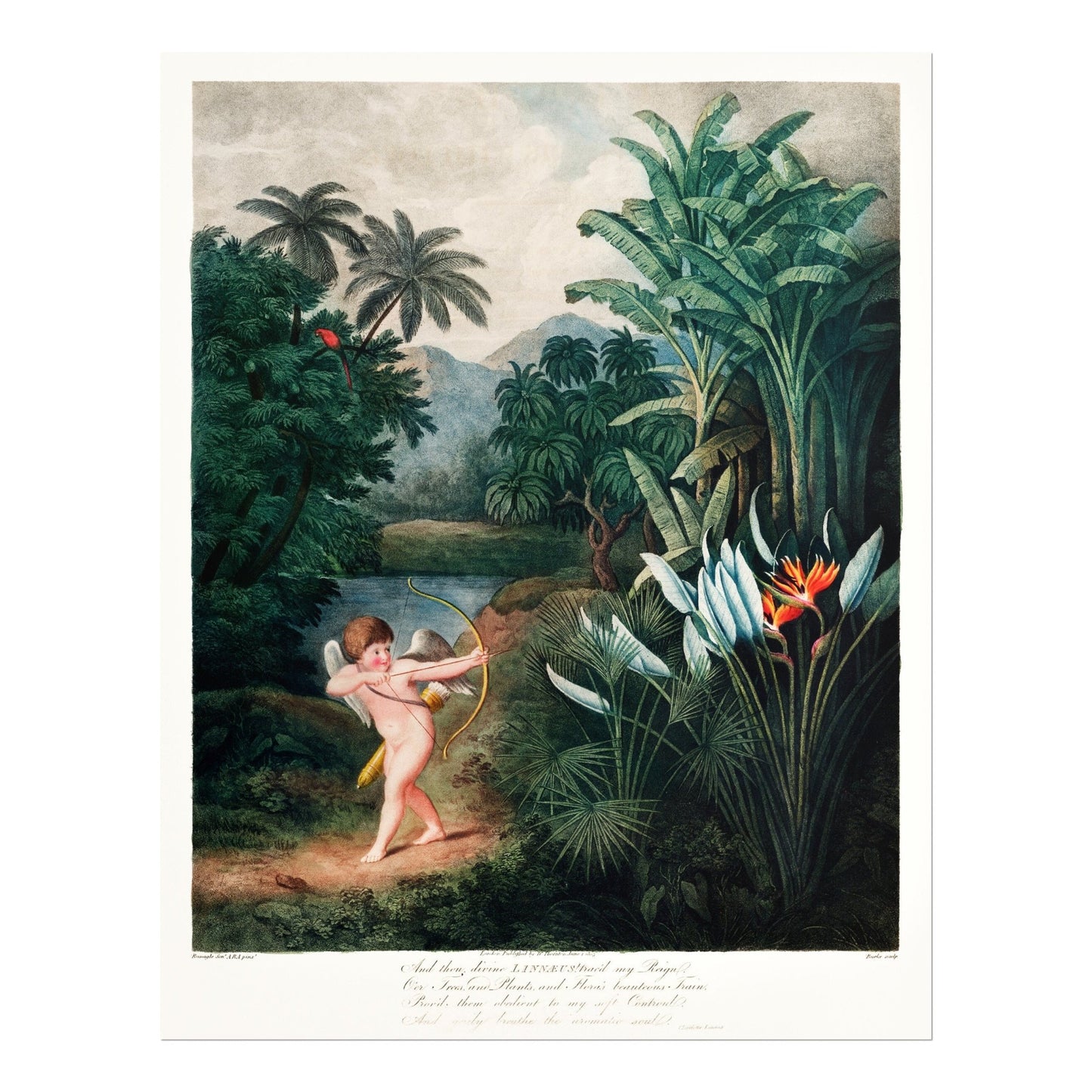 TEMPLE OF FLORA - Cupid Inspiring Plants with Love - Pathos Studio - Art Prints