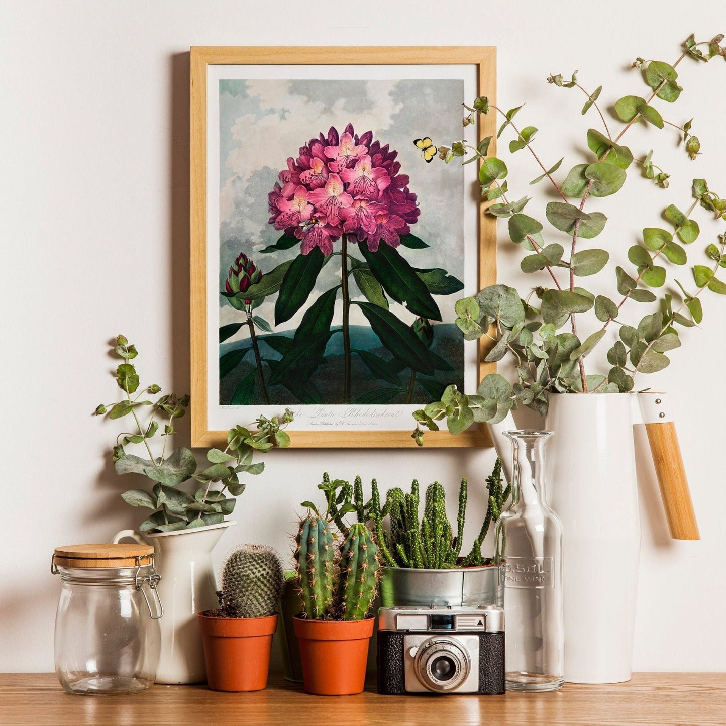 TEMPLE OF FLORA - Pontic Rhododendron - Pathos Studio - Art Prints