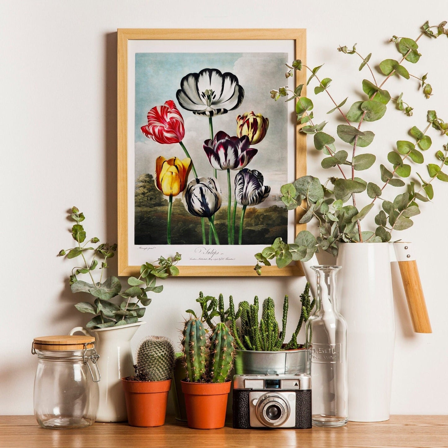 TEMPLE OF FLORA - Tulips - Pathos Studio - Art Prints