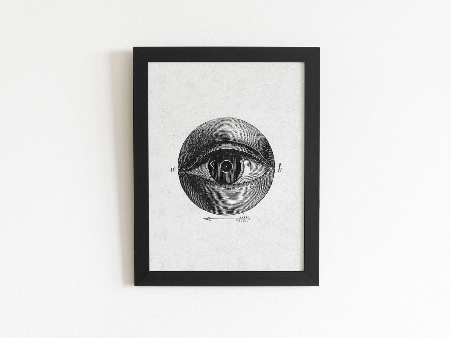 Vintage Eye Diagram (Anatomical Lithograph) - Pathos Studio - Posters, Prints, & Visual Artwork