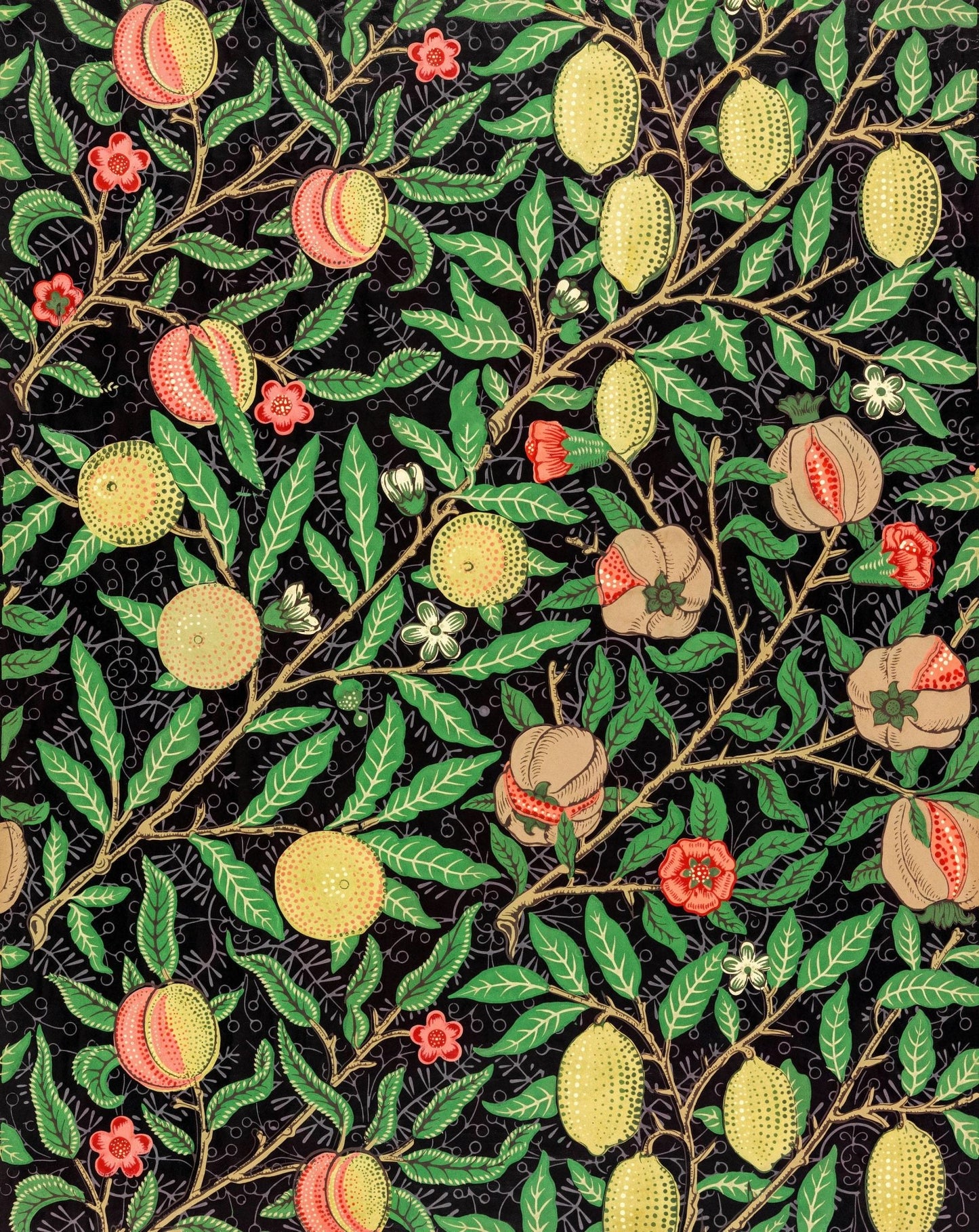 WILLIAM MORRIS - Pomegranate Fruit